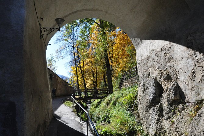 Brasov Old Town Small-Group Walking Tour - Price value: why $42.01 can be a smart buy in Brasov