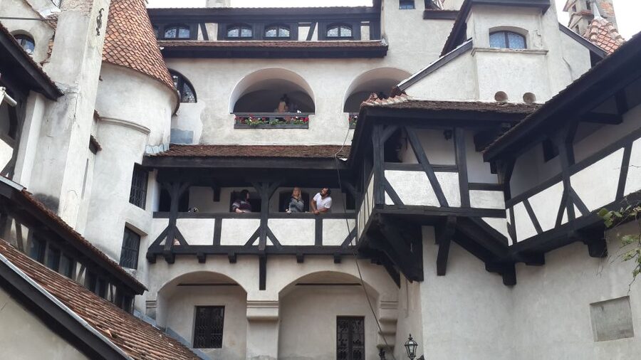 Brasov: Peles Castle, Bran Castle & Rasnov Fortress Day Tour - Price and value: does $84 make sense for this day?