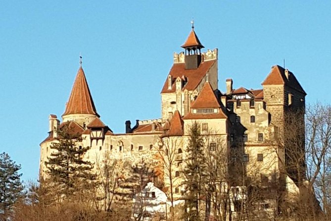 Brasov: Peles Castle, Bran Castles and Rasnov Fortress Day Tour - Price and What You Really Get for $85.08