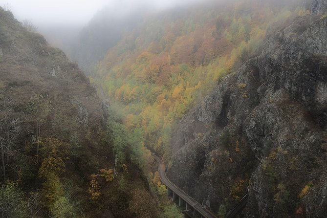 Brasov Private Tour: Transfagarasan road & Poienari Fortress - Poienari Castle: the Vlad the Impaler climb and what to expect