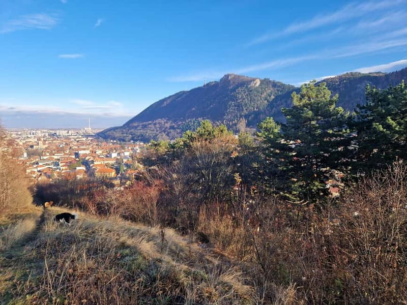 Brașov’s Secret Tastes & Stories - Finding the tour fast at George Barițiu in Livada Poștei