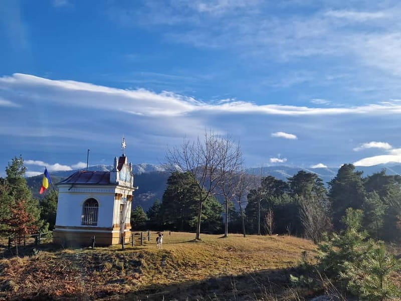 Brașov’s Secret Tastes & Stories - Council Square and the Black Church, the easy way to orient yourself