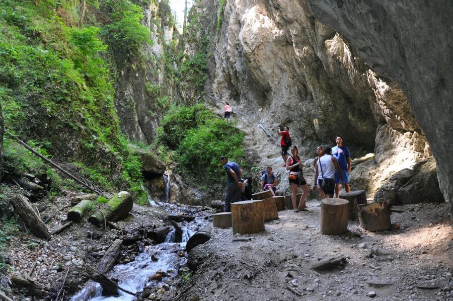 Brasov: Small-Group 7 Ladders Canyon Day Trip - Key highlights to look forward to