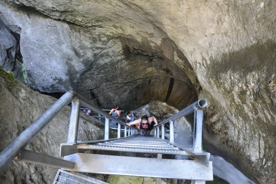 Brasov: Small-Group 7 Ladders Canyon Day Trip - Brasov pickup and the quick drive to the Piatra Mare trailhead