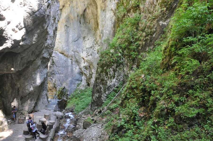 Brasov: Small-Group 7 Ladders Canyon Day Trip - What to pack and how to handle wet ladders