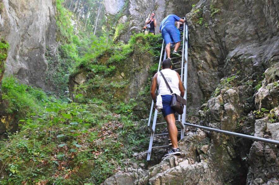 Brasov: Small-Group 7 Ladders Canyon Day Trip - The guides make the difference: Dan, Alex, Zsolt, Isti, and others