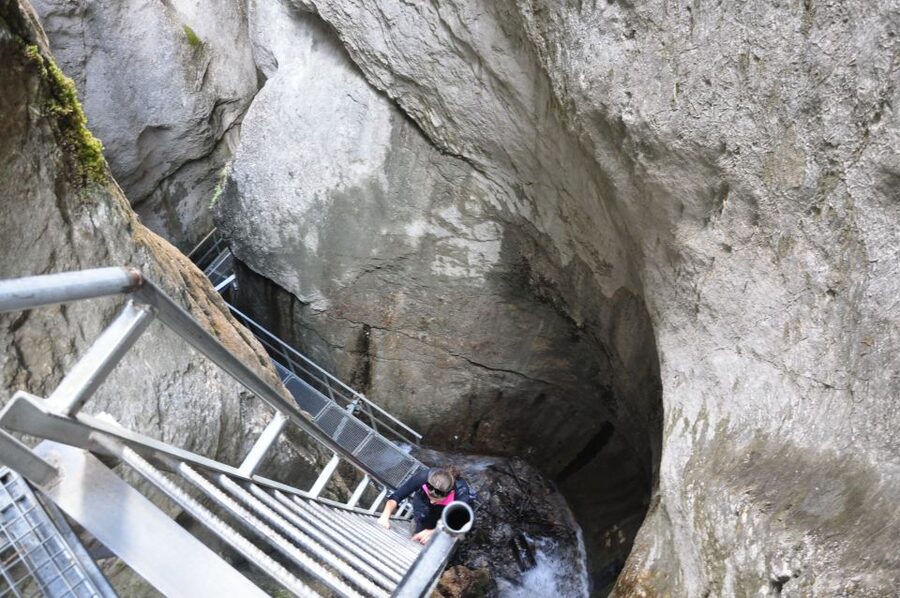 Brasov: Small-Group 7 Ladders Canyon Day Trip - The 45-minute walk to Canionul Sapte Scari: woods, stream sounds, and early context