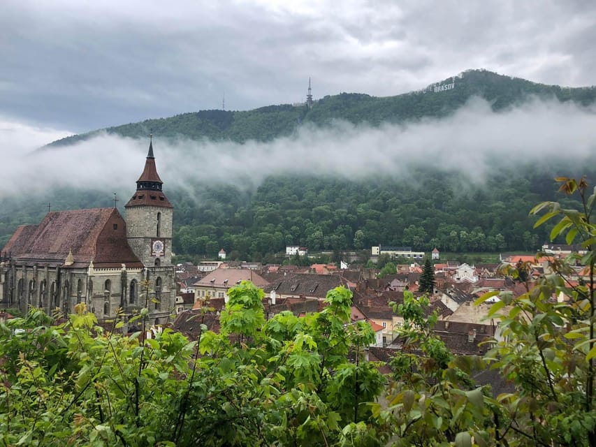 Brașov Top Craft Beer & Secret Bars Tour with Local Guide - The Secret Bars Part, Why the Beer Stop Works