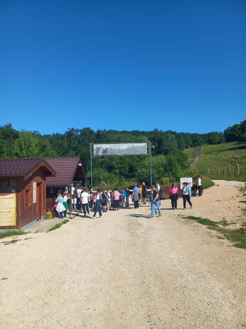 Brasov: Tour with Transfer Libearty Bear Sanctuary - FAQ