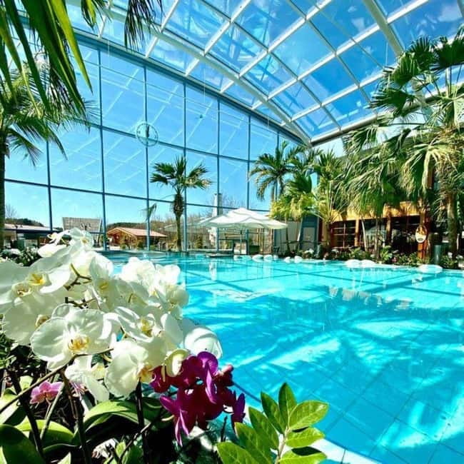 Bucharest: All Day Therme with Elysium Experience - Why Therme Bucharest feels like a full-day ticket to nowhere-in-particular
