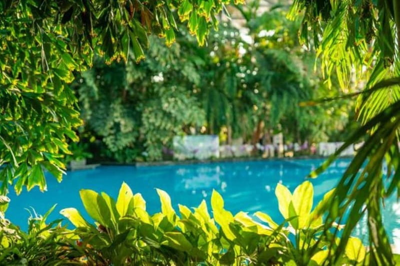 Bucharest: All Day Therme with Elysium Experience - Comfort kit you should bring (and what not to)
