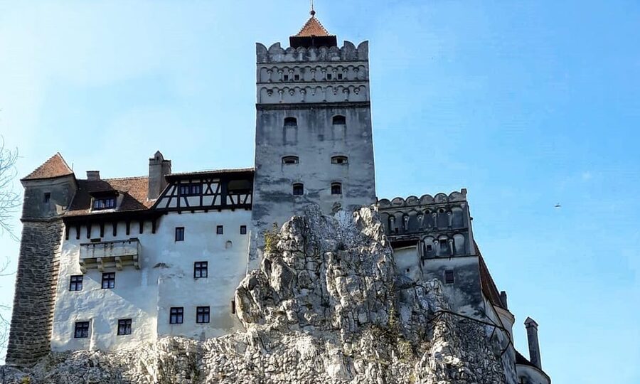 Bucharest: Bran Castle and Bear Sanctuary Small-Group Tour - Lunch and photo time: how the guide helps without forcing a script