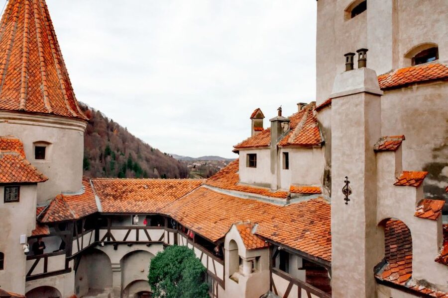 Bucharest: Bran Castle and Bear Sanctuary Small-Group Tour - Walking, stairs, and what to pack for a comfortable day