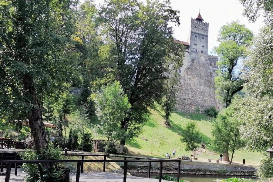 Bucharest: Bran Castle and Bear Sanctuary Small-Group Tour - Should you book this Bran Castle and Liberty Bear Sanctuary tour?