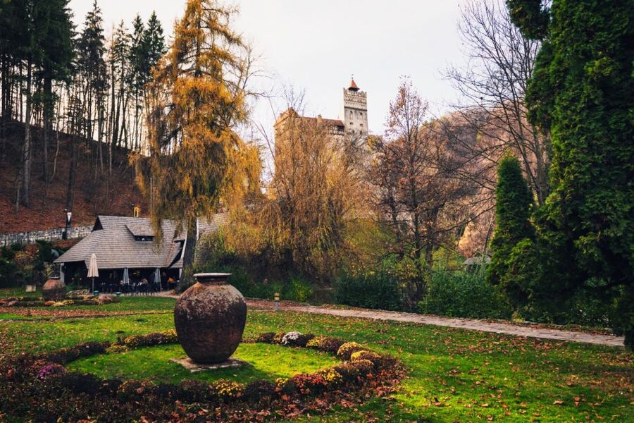 Bucharest: Bran Castle and Bear Sanctuary Small-Group Tour - The Carpathian drive: coffee stops, comfort, and good pacing