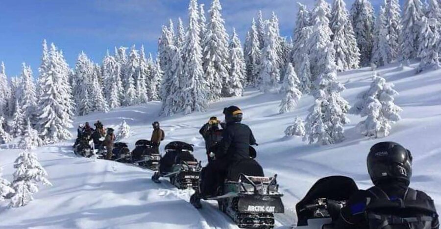 Bucharest: Carpathian Snowmobile / ATV Adventure Tour - Peleș Castle panoramic stop in Sinaia: what you should expect