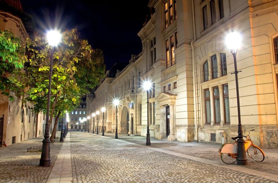 Bucharest: Charm of the Belle Époque Private Tour - The composer palace, music hall, and royal buildings you’ll recognize fast