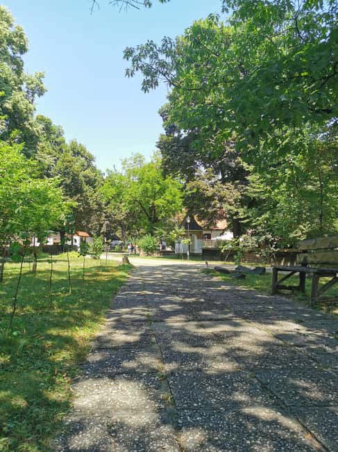 Bucharest city tour: Village Museum visit & Panormaic tour - Panoramic Bucharest drive: boulevards, Calea Victoriei, and landmarks