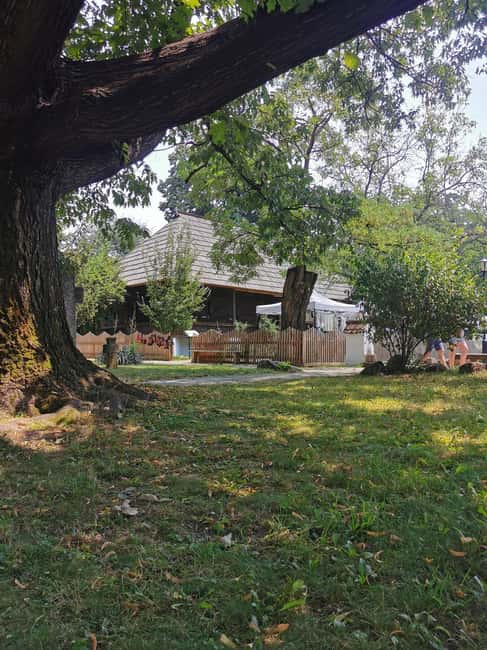 Bucharest city tour: Village Museum visit & Panormaic tour - Pickup at Piata Universitatii: easy start, easy end
