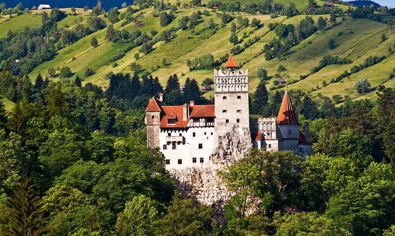 Bucharest: Day Trip to Bear Sanctuary, Bran Castle & Brasov - A 12-hour Transylvania sampler from Bucharest
