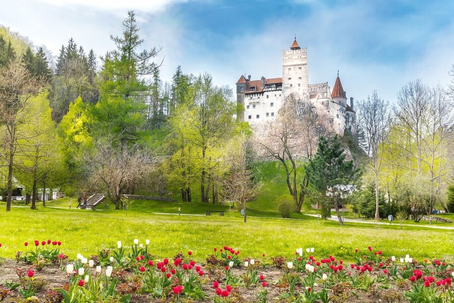 Bucharest: Day Trip to Dracula Castle, Peles Castle & Brașov - Brasov Old Town walk: Biserica Neagră and Catherine’s Gate