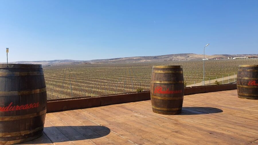Bucharest: Dealu Mare Winery Private Trip with Wine Tasting - Key highlights at a glance