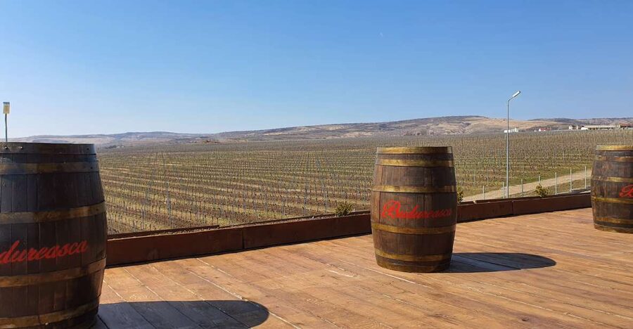 Bucharest: Dealu Mare Winery Private Trip with Wine Tasting - Why Dealu Mare Works So Well as a Bucharest Wine Day