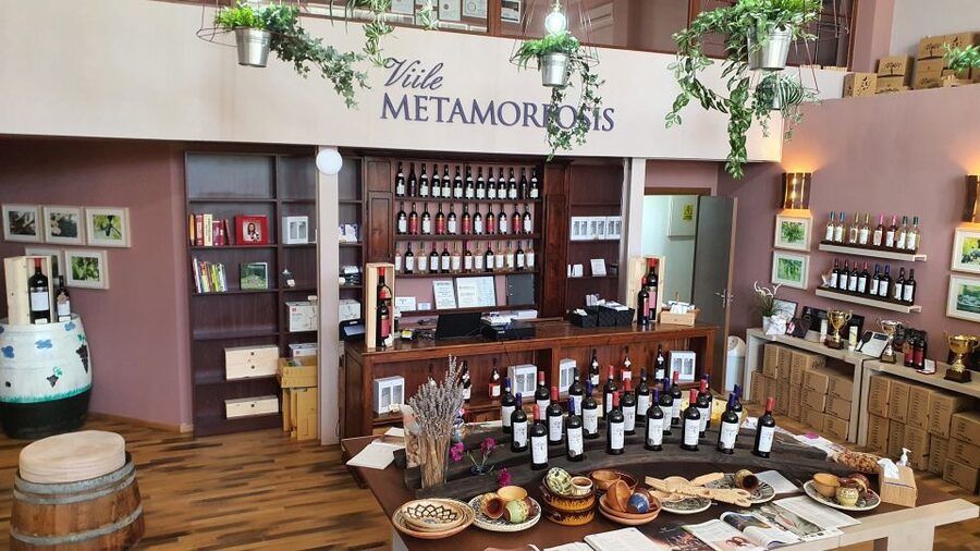 Bucharest: Dealu Mare Winery Private Trip with Wine Tasting - Stop One: A Guided Vineyard Tour and First Tasting