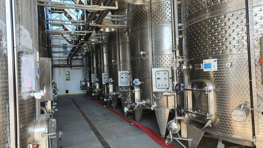 Bucharest: Dealu Mare Winery Private Trip with Wine Tasting - Stop Two: Second Winemaker, Another Style, More Perspective