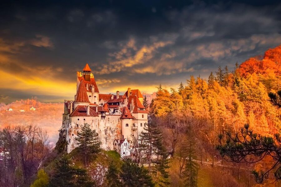 Bucharest: Dracula's Castle, Peleș Castle & Brașov Day Trip - Key highlights worth planning for