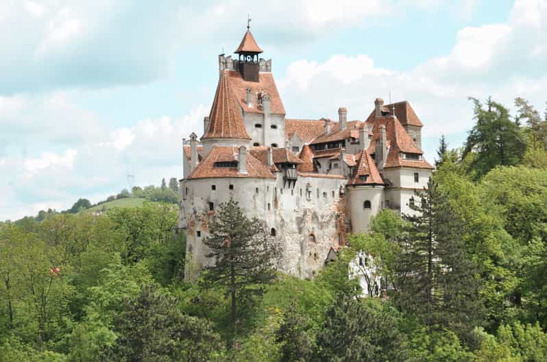 Bucharest: Dracula's Castle, Peleș Castle & Brașov Day Trip - Tour logistics that matter more than you think