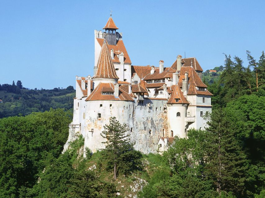 Bucharest: Dracula's Castle, Peles Castle, & Brasov Old Town - A 12-hour Bucharest-to-Transylvania day trip that actually fits