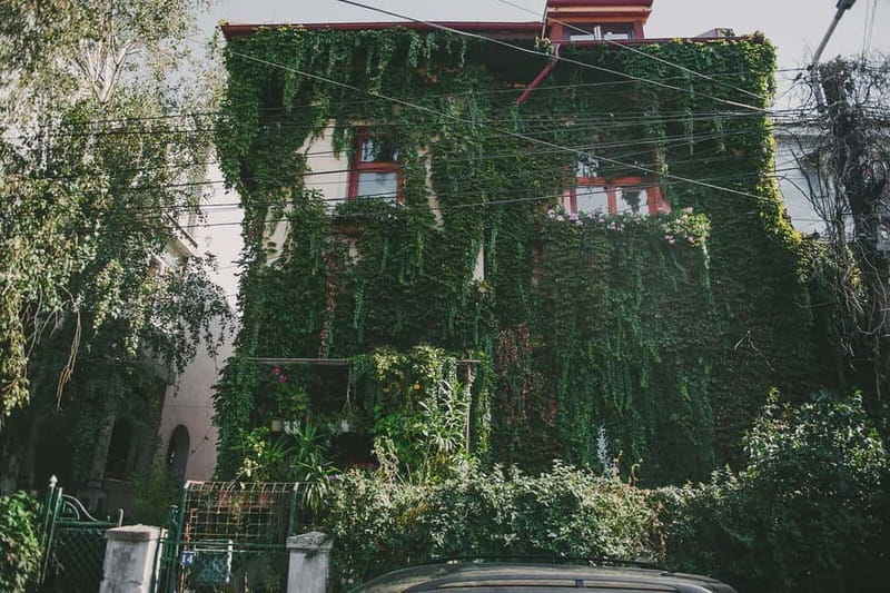 Bucharest: Hidden Gems 2.5-Hour Walking Tour - Casa Melik: Bucharest’s oldest home, plus tunnels, secrets, and art