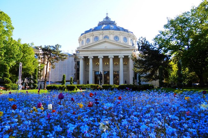 Bucharest Layover Tour (6 - Hour Private City Tour Between Flights) - Key things to know before you book
