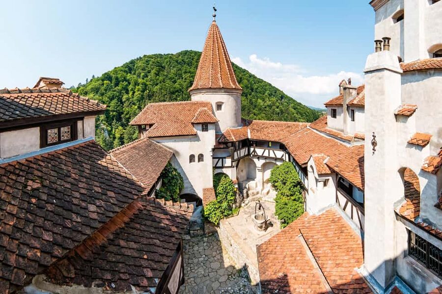 Bucharest: Peles Castle, Bran Castle & Brasov Day Trip - Transport, Timing, and Group Feel on a Long 12 Hour Day