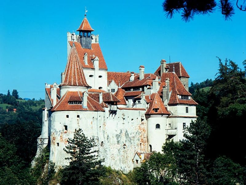 Bucharest: Peles Castle, Dracula's Castle and Brasov Tour - Key things to know before you go