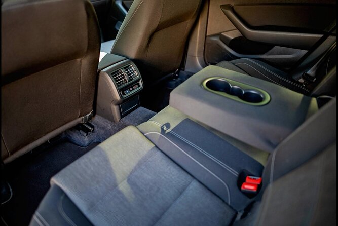 Bucharest Private Airport Transfer - Service Notes for Kids, Pets, and Luggage