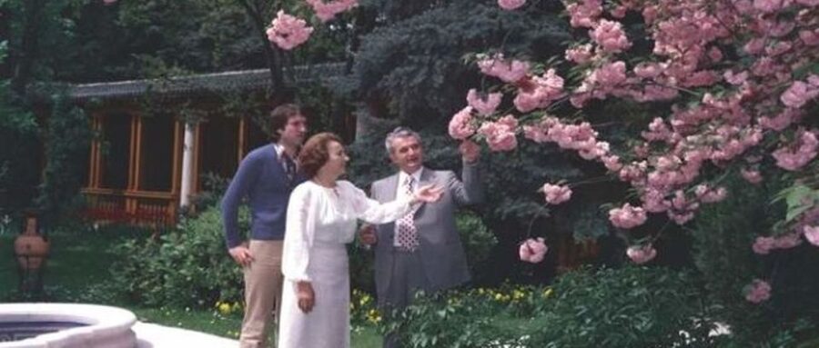 Bucharest: Private Last Days of Ceausescu Tour in a Dacia - Ceausescu Last Hours Museum: A Timeline You Can Keep Up With