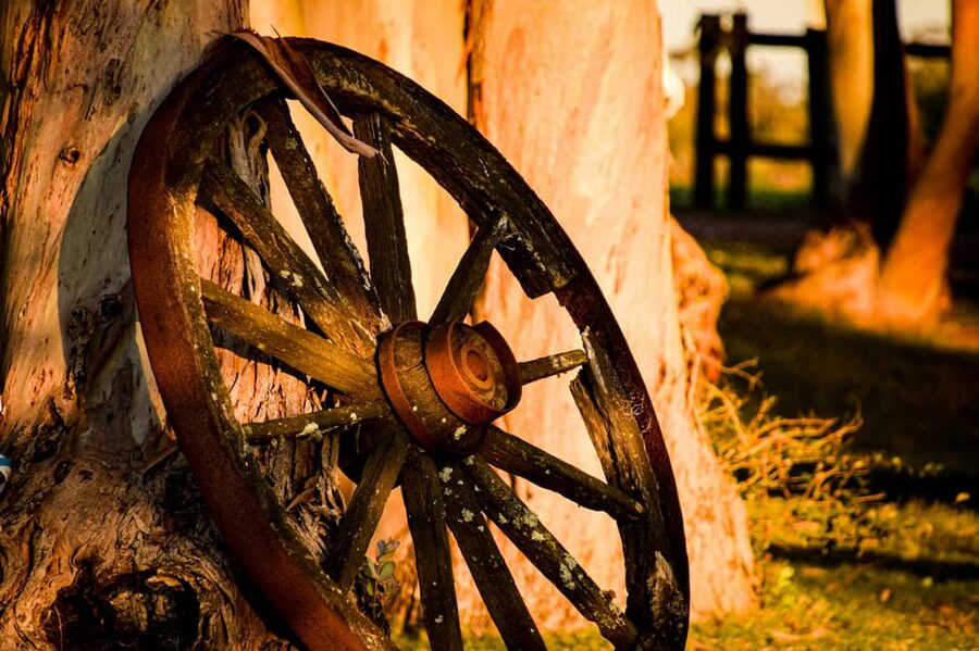 Bucharest: Ranch with Domestic Animals Day Trip - Who should book this ranch day trip, and who should skip it