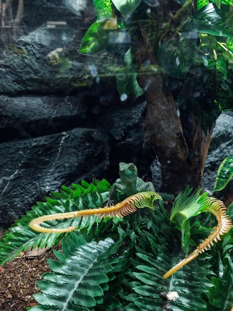 Bucharest: Reptiland Bucharest Entry Ticket - Key Points You Should Know Before Going