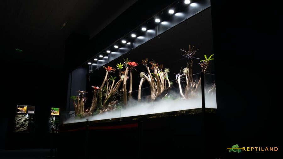 Bucharest: Reptiland Bucharest Entry Ticket - The Indoor Tropical Forest Feel, and Why the Terrariums Matter