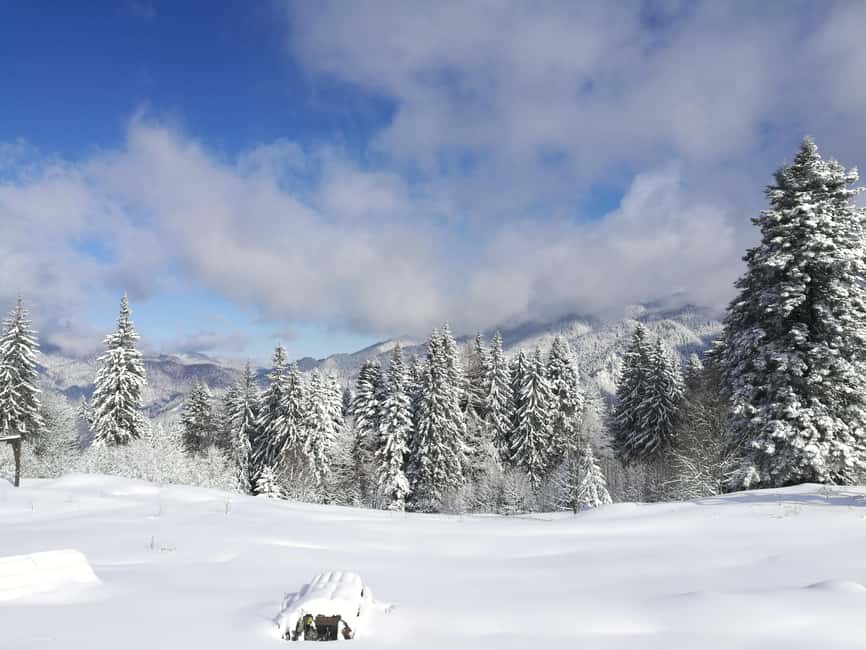 Bucharest: Snowmobile or ATV in the Carpathian Mountains - Key highlights that make this day trip worth a look
