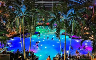 Therme Bucharest Spa Day with Luxury Transfer