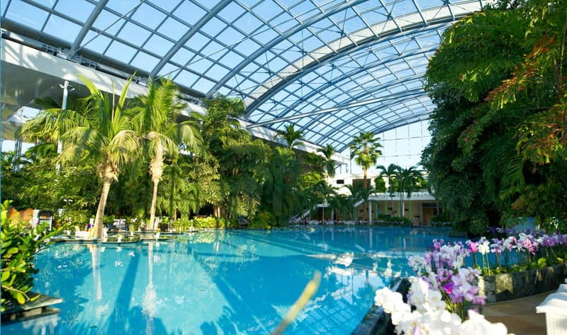 Bucharest: Therme București Entry Ticket with Transportation - Why Therme Bucuresti feels like a resort, not a day spa