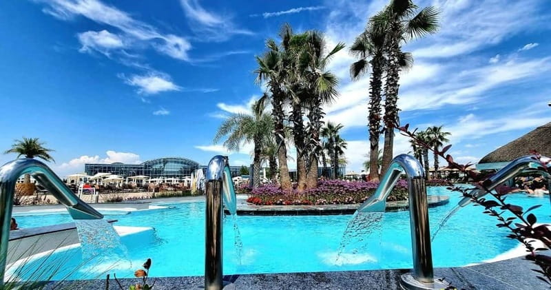 Bucharest: Therme Entry Ticket and Transfer - 4.5 hours in The Palm: pools, saunas, and that palm-garden calm