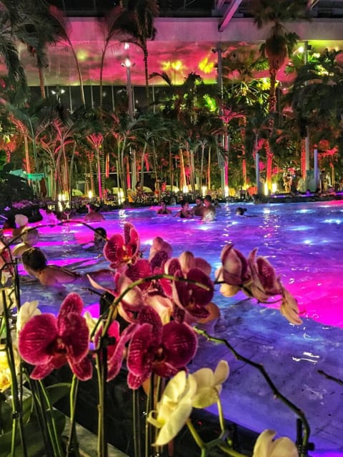 Bucharest: Therme Spa Night Experience with Transfer - Key highlights to know before you go