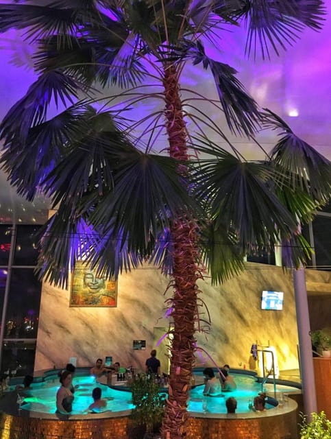 Bucharest: Therme Spa Night Experience with Transfer - Therme Bucharest at Night: Why the Palm Grove Feels Like Another World