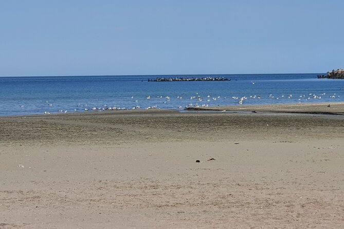 Bucharest to Constanta - Fast Transportation - Drop-Off in Constanta or Mamaia Beach: Choose Your Destination