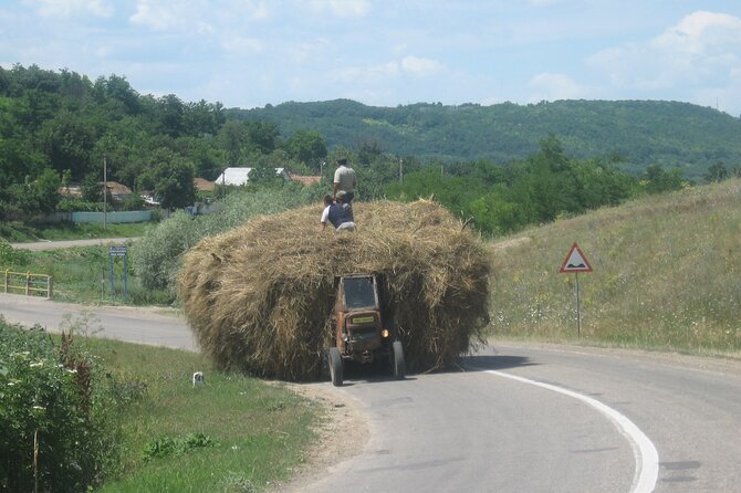 Bucovina Painted Monasteries Day Tour - Timing, Pickup From Suceava or Gura Humorului, and What the Day Feels Like