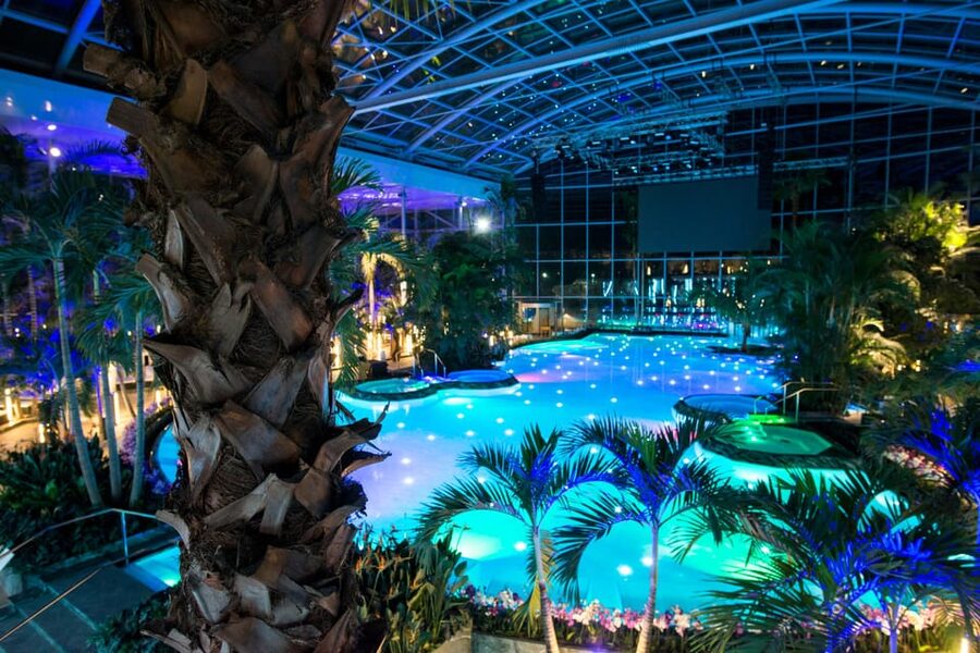 Bucuresti: Therme Bucharest Evening Entry Ticket & Transfer - Entering Therme Bucharest at Night: Botanical Garden Effects and Light Show